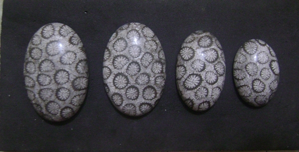 4_pcs_600px.JPG (151.0 KB)